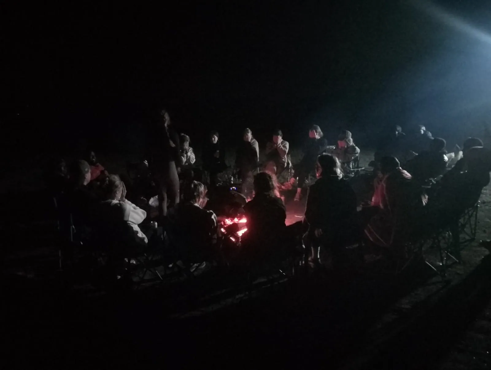 Guests around the campfire at night